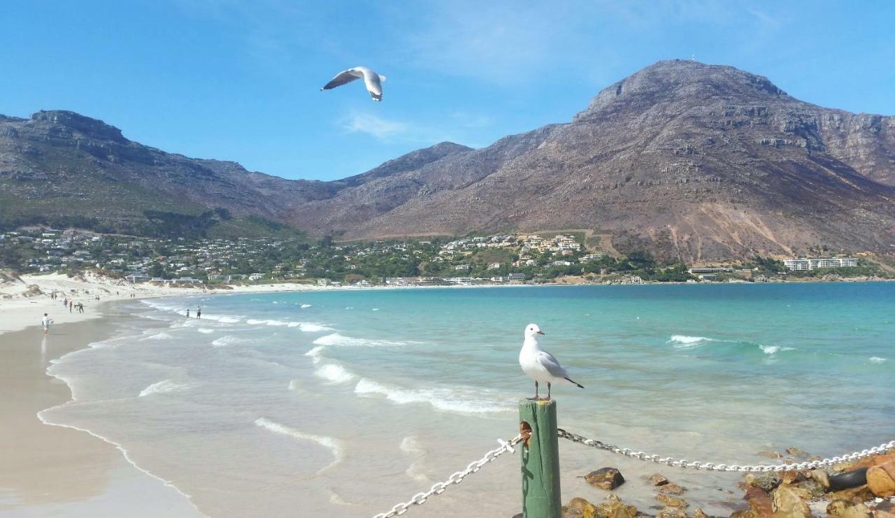 Hout Bay Beach Cottage Εξωτερικό φωτογραφία